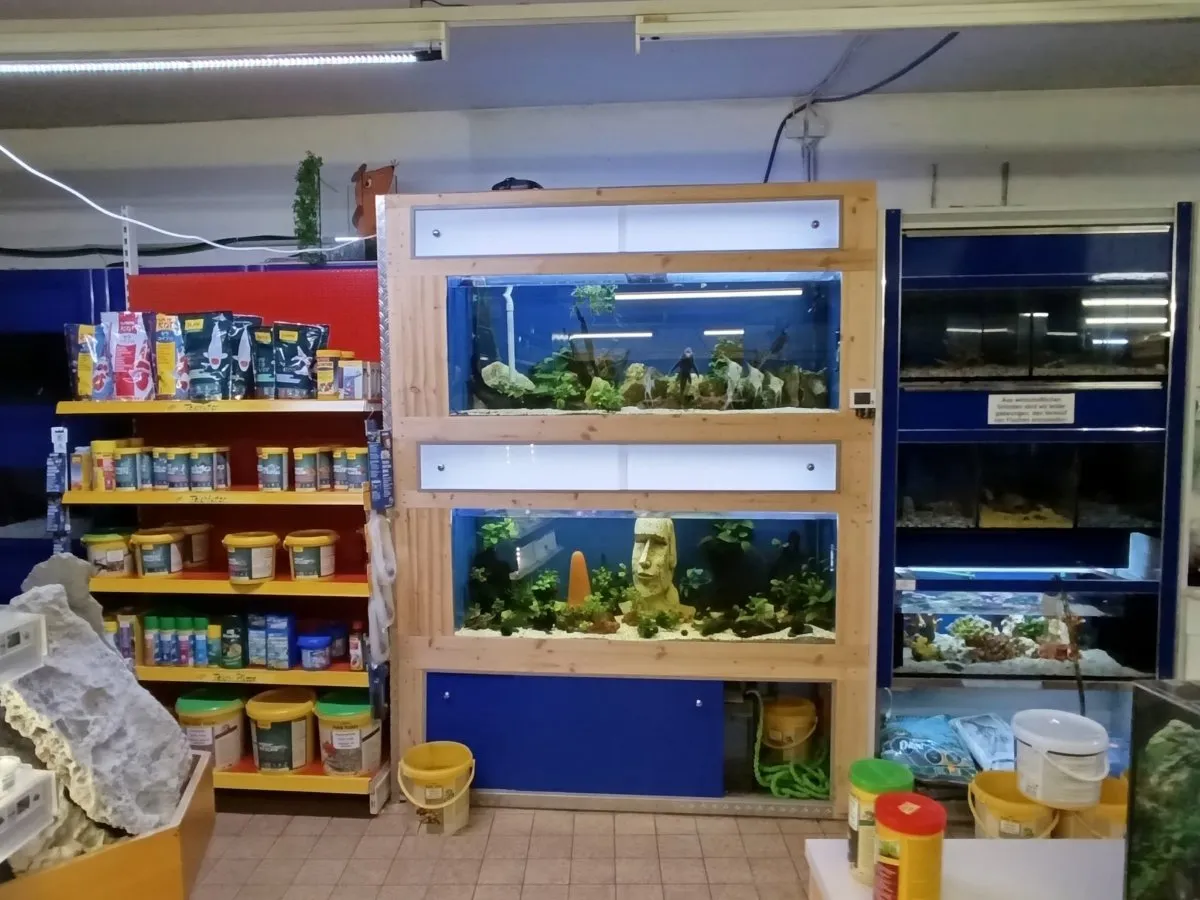 Zoofachhandel mit Tierverkauf in Zwettl - Ansicht 2