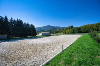 24-Zimmer-Grundstück kaufen in Steyr-Land – 4 265 m², € 1.590.000 – Bild 13 von 22