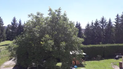 3-Zimmer-Wohnung mieten in Sankt Pölten Land – 83 m², € 799 – Bild 3 von 13