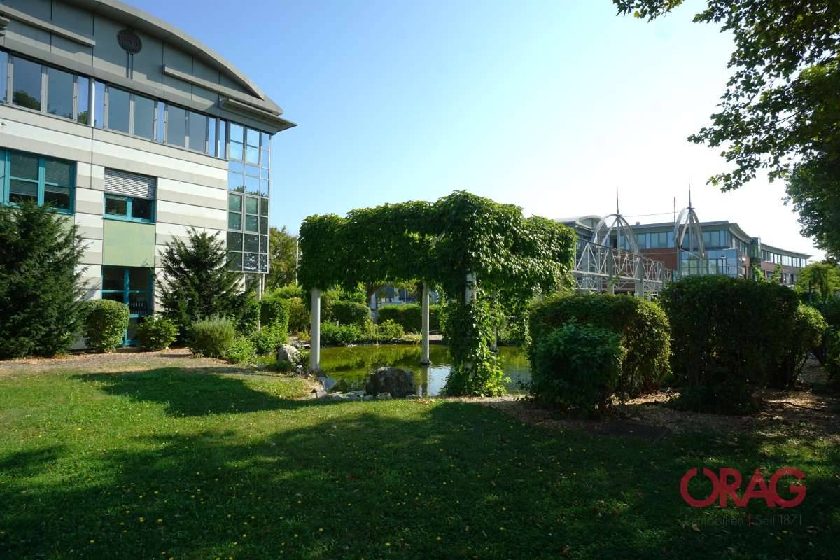 Moderner Business Park - Büros zu mieten - 2320 Schwechat - Ansicht 3