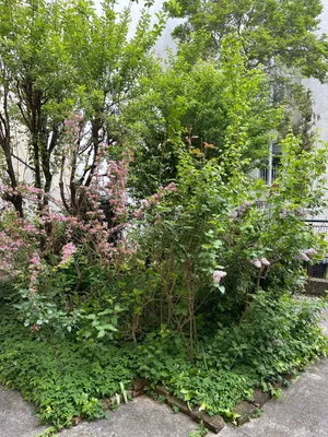 2-Zimmer-Wohnung mieten in Wien – 46 m², € 749 – Bild 16 von 18