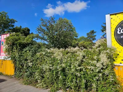 Grundstück mieten in Wien – 469 m², € 480 – Bild 4 von 4