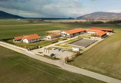 Immobilie mieten in Bruck an der Leitha – 80 m², € 20 – Bild 6 von 6