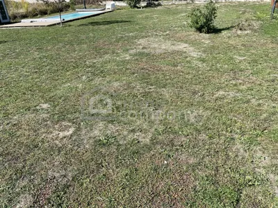 Grundstück kaufen in Neunkirchen – 765 m², € 144.000 – Bild 6 von 9