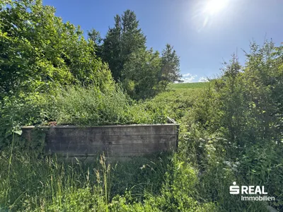 Haus kaufen in Eferding – 230 m², € 270.000 – Bild 17 von 17