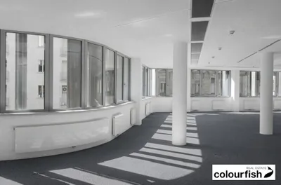 Gewerbeimmobilie mieten in Wien – 1 432 m², € 42.101 – Bild 2 von 5