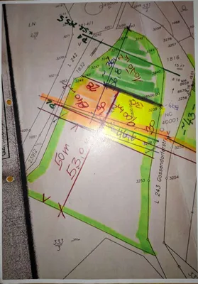 Grundstück kaufen in Südoststeiermark – 6 500 m² – Bild 3 von 3