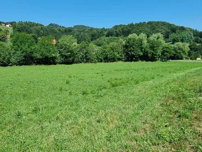 Grundstück kaufen in Südoststeiermark – 6 500 m² – Bild 2 von 3
