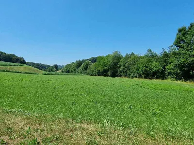Grundstück kaufen in Südoststeiermark – 6 500 m²