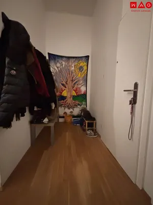 1-Zimmer-Wohnung mieten in Wels – 41,39 m², € 443 – Bild 6 von 10
