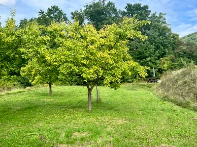 Grundstück kaufen in Krems Land – 1 894 m², € 37 – Bild 4 von 10