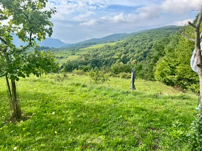 Grundstück kaufen in Krems Land – 1 894 m², € 37 – Bild 7 von 10