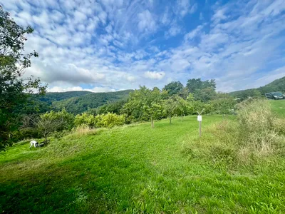 Grundstück kaufen in Krems Land – 1 894 m², € 37 – Bild 5 von 10