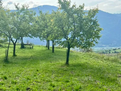 Grundstück kaufen in Krems Land – 1 894 m², € 37 – Bild 9 von 10