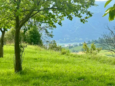 Grundstück kaufen in Krems Land – 1 894 m², € 37 – Bild 2 von 10