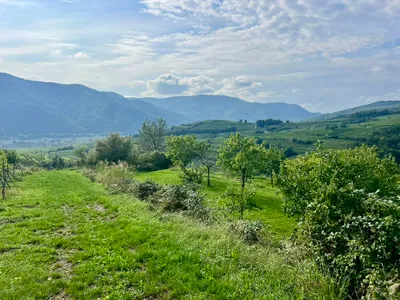 Grundstück kaufen in Krems Land – 1 894 m², € 37 – Bild 6 von 10