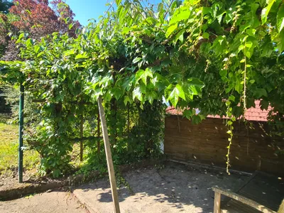 8-Zimmer-Haus kaufen in Melk – 160 m², € 295.000 – Bild 12 von 17