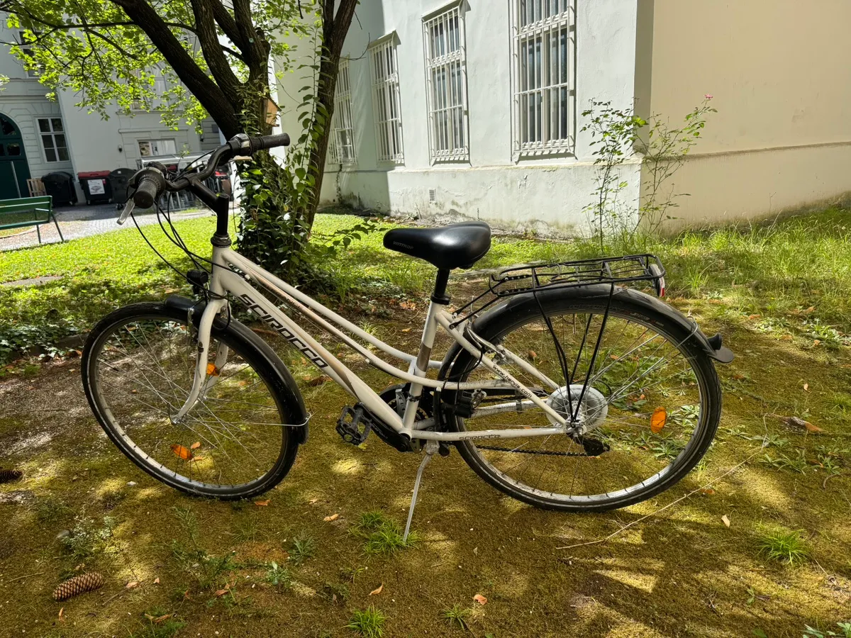 fahrradschloss höchste sicherheitsstufe KOHLBURG Großes Bügelschloss Fahrrad [ADFC zertifiziert] Sicherheitsschloss Bosch Haibike 625 Watt handmade chess set Color:Matcha