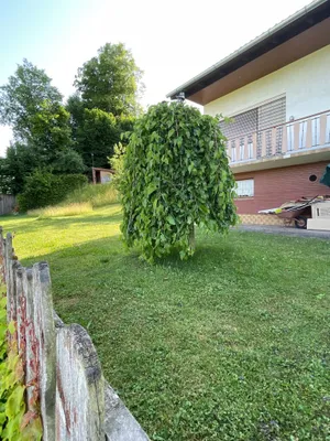 4-Zimmer-Haus kaufen in Vöcklabruck – 100 m², € 269.000 – Bild 5 von 15