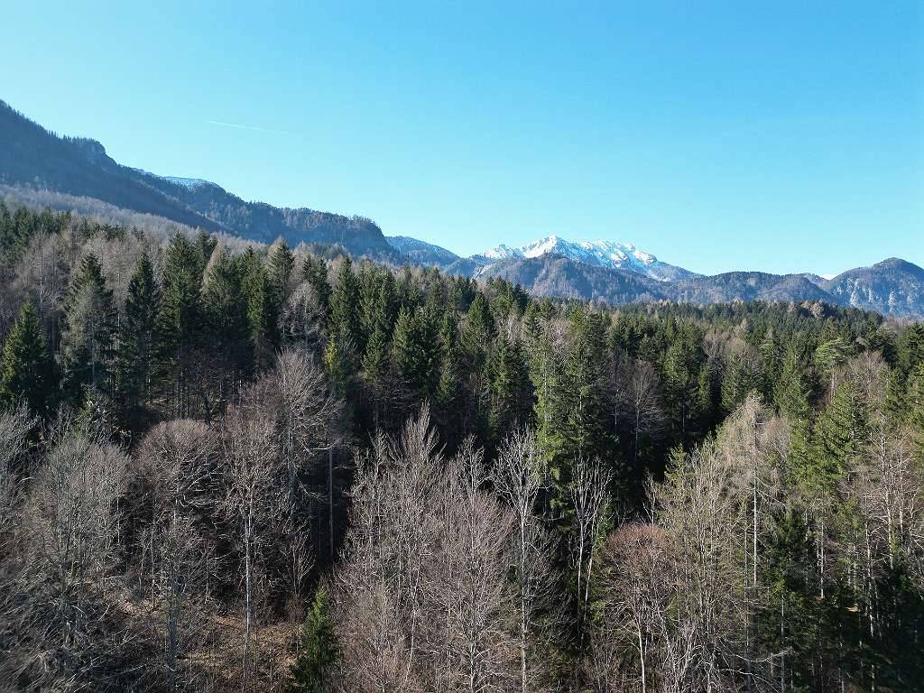 Kleinlandwirtschaft in Alleinlage - Paradies für Hobbylandwirte in Feistritz im Rosental – pohled 2