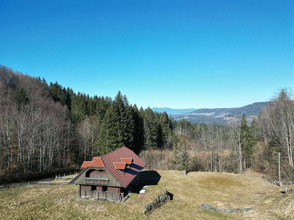 Kleinlandwirtschaft in Alleinlage - Paradies für Hobbylandwirte in Feistritz im Rosental – pohled 3