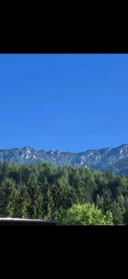 Grundstück kaufen in Villach Land – 700 m² – Bild 6 von 14