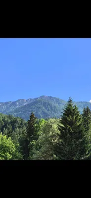 Grundstück kaufen in Villach Land – 700 m² – Bild 7 von 14