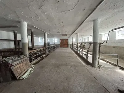 Gewerbeimmobilie mieten in Freistadt – 395 m², € 4 – Bild 7 von 11