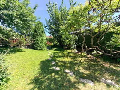 7-Zimmer-Haus kaufen in Wiener Neustadt Land – 189,3 m², € 486.000 – Bild 5 von 26
