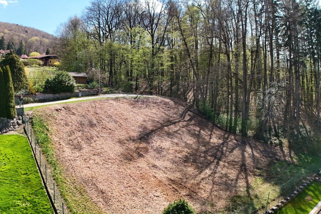 Baugrund am Ende der Sackgasse - Natur & perfekte Nähe zu Wien! - Ansicht 2
