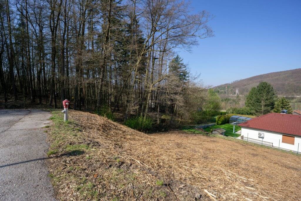 Baugrund am Ende der Sackgasse - Natur & perfekte Nähe zu Wien! - Ansicht 3