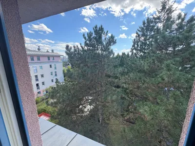 1-Zimmer-Wohnung mieten in Wien – 35 m², € 226 – Bild 5 von 13