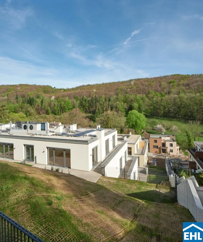 Ihr neues Zuhause in Kaltenleutgeben - Mietwohnungen im Grünen! - Ansicht 2