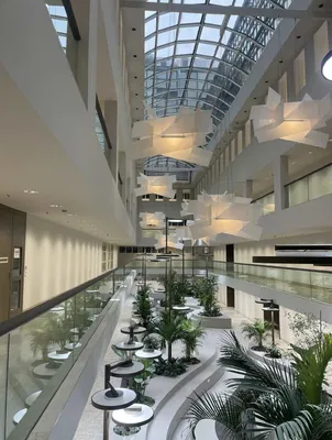 Gewerbeimmobilie mieten in Wien – 354 m², € 12.078 – Bild 7 von 8