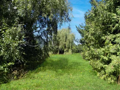 Grundstück kaufen in Gänserndorf – 838 m², € 269.000 – Bild 6 von 7