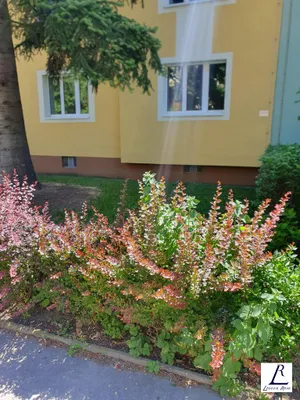 3-Zimmer-Wohnung kaufen in Wien – 81 m², € 345.000 – Bild 2 von 20