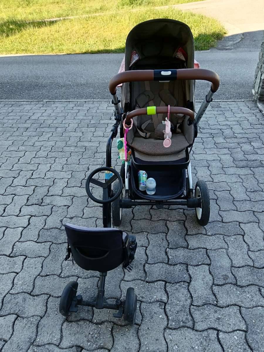 dünger für alle pflanzen Langzeitdünger für Zimmerpflanzen