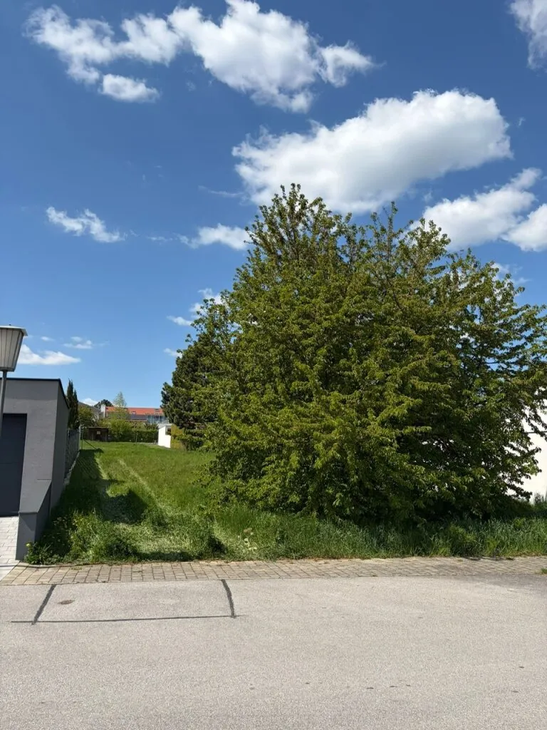 700 m² Lebensqualität in Ruhelage - Ihr Grundstück am Villasteig 19 in Breitenbrunn am Neusiedlersee - Pohľad 2