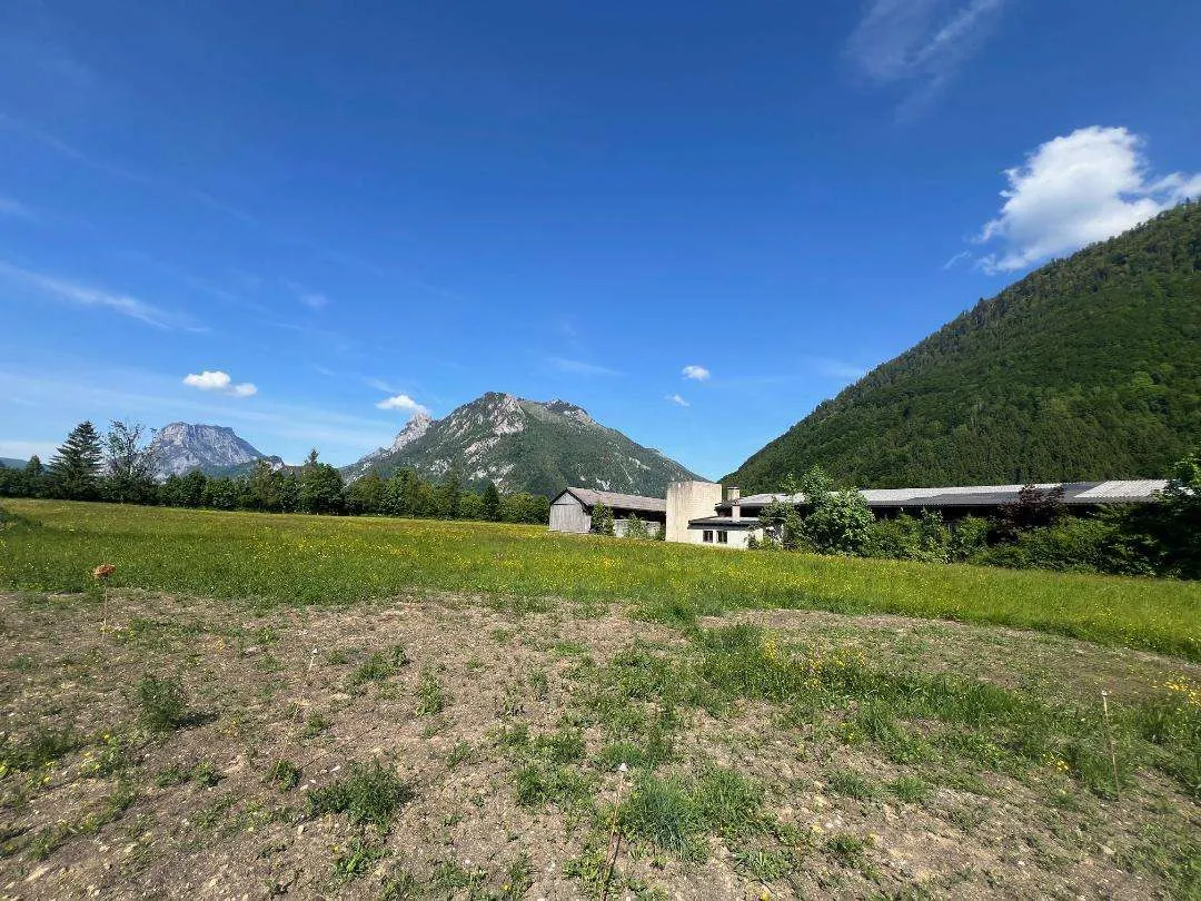 Rares Grundstücke in Ebensee - Skats 2