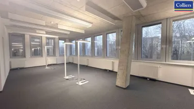 Gewerbeimmobilie mieten in Wien – 520 m², € 11.856 – Bild 5 von 17
