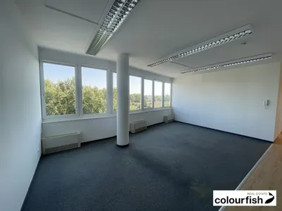 Gewerbeimmobilie mieten in Wien – 188 m², € 3.588 – Bild 5 von 12