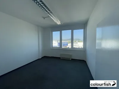 Gewerbeimmobilie mieten in Wien – 188 m², € 3.588 – Bild 4 von 12