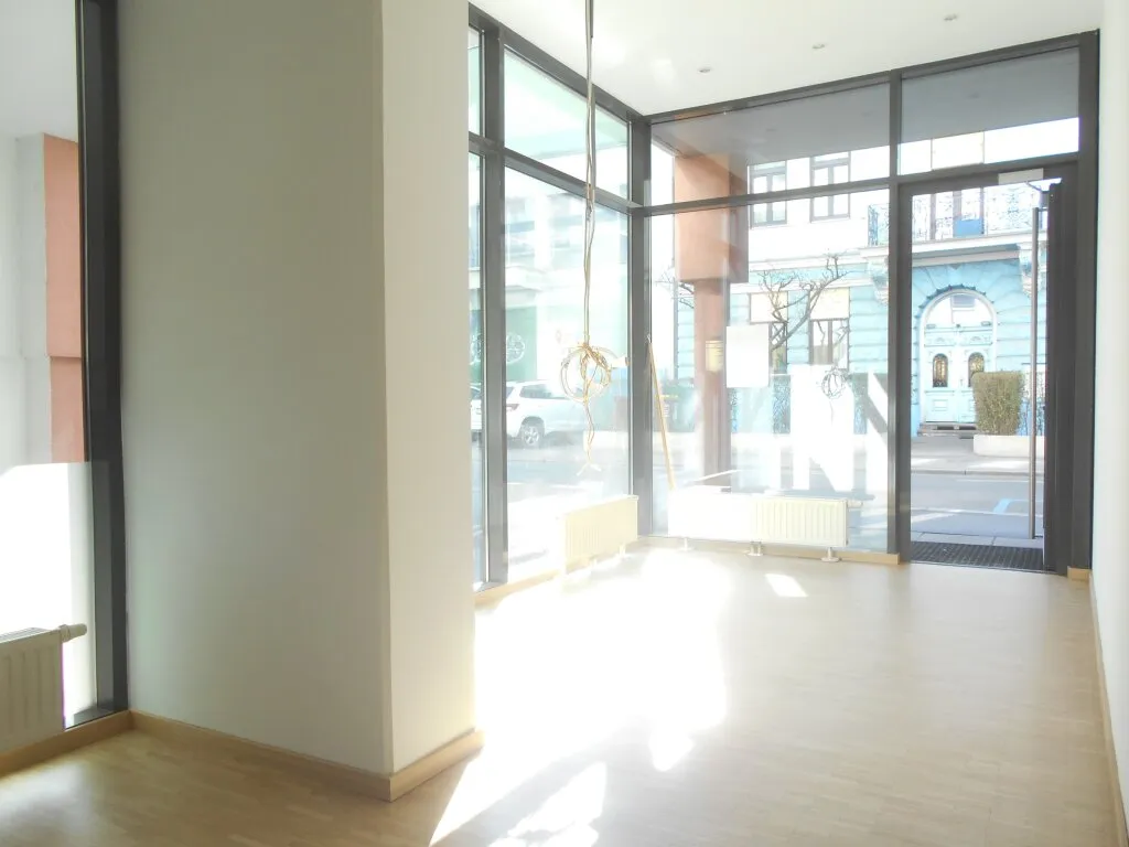 Großartiges Geschäftslokal nahe Dietrichsteinplatz - Ansicht 3