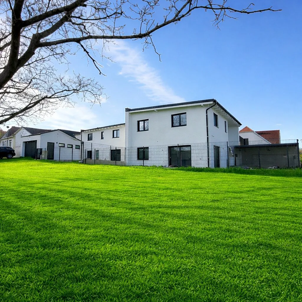 Wohnen mit Stil in Sigleß - Garage, Garten und Dachterrasse inklusive - Ansicht 3