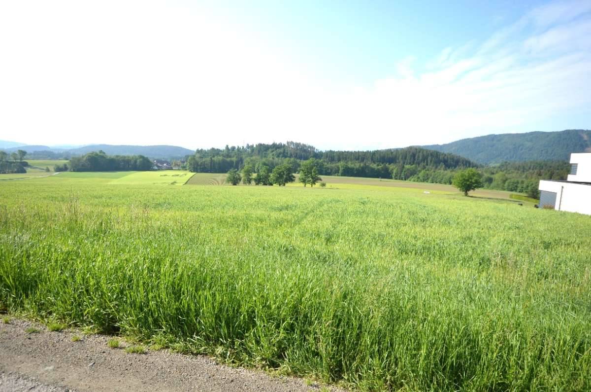 Maltschach - Baugrundstück in Seenähe - Ansicht 2