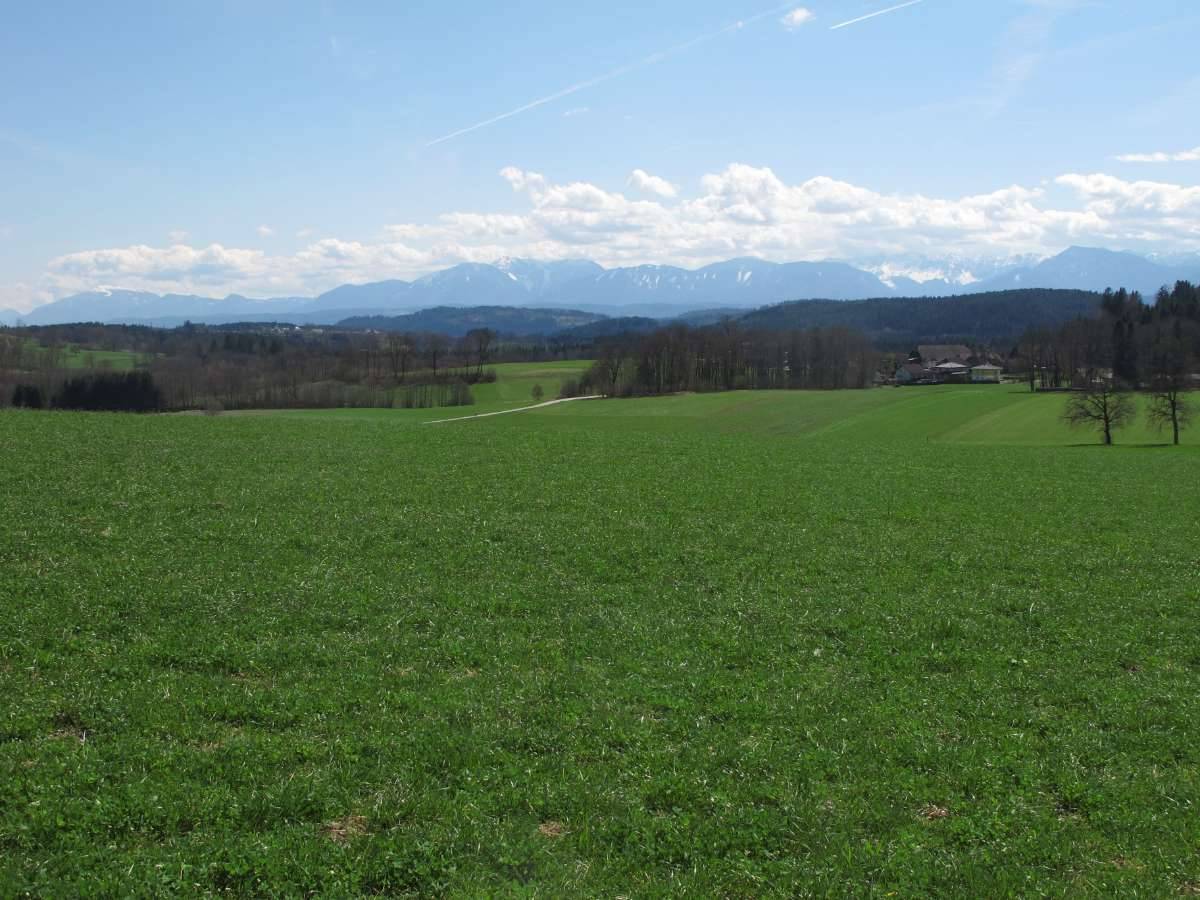 Maltschach - Baugrundstück in Seenähe - Ansicht 3
