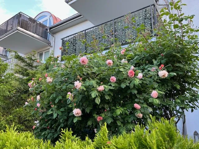 Erdgeschossmietwohnung mit Eigengarten – pohled 2
