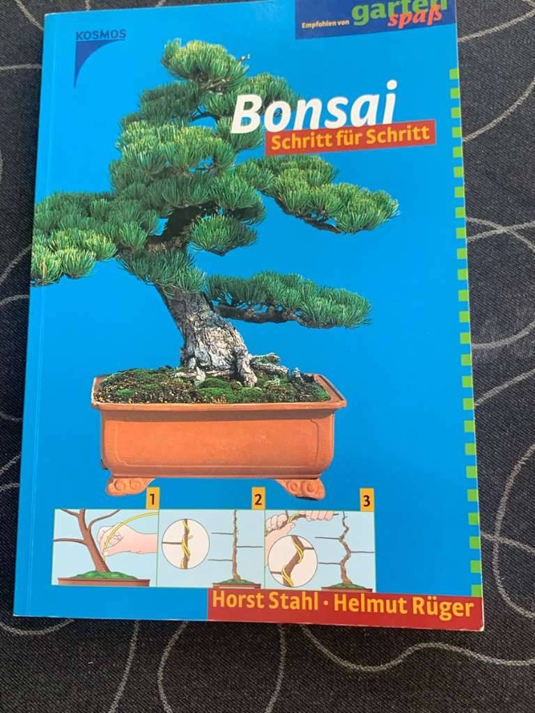 pflanzen sichtschutz bambus Bambus kaufen main image 0