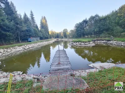 Immobilie kaufen in Horn – 7 000 m², € 164.500 – Bild 10 von 21