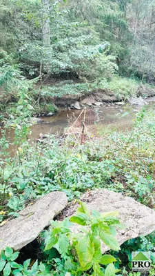 Immobilie kaufen in Horn – 7 000 m², € 164.500 – Bild 20 von 21